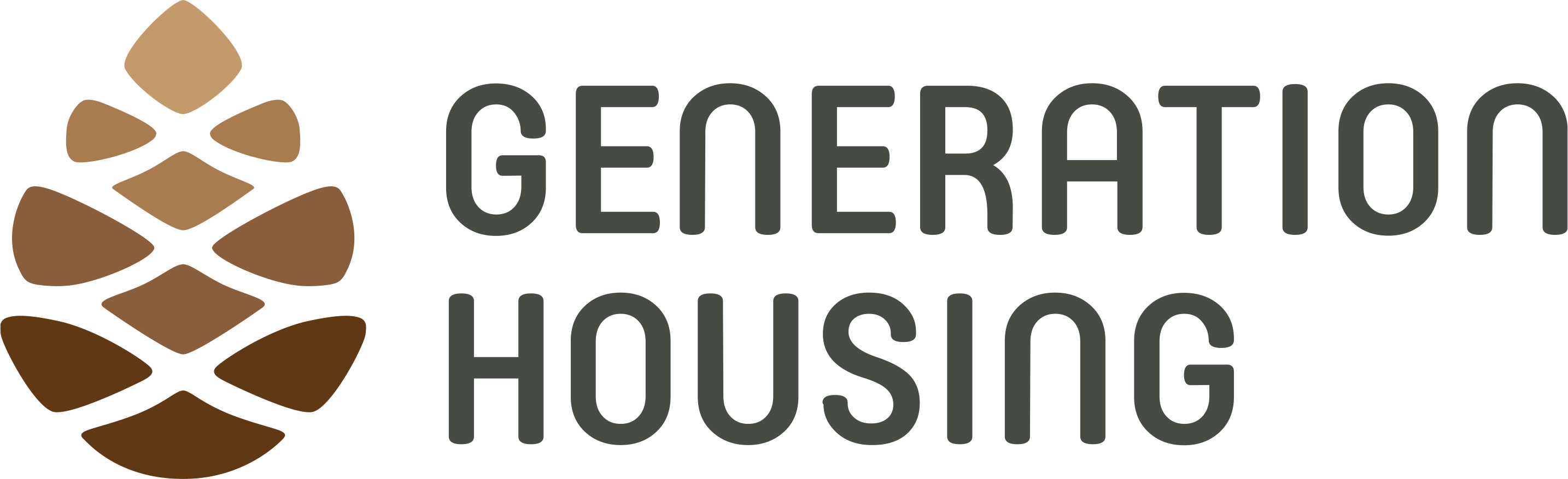 Generation Housing
